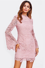 Sofia Flare Sleeved Pink Lace Dress