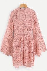 Sofia Flare Sleeved Pink Lace Dress