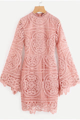 Sofia Flare Sleeved Pink Lace Dress